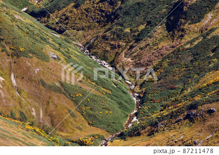谷川連峰・万太郎山から見る草紅葉の阿弥陀沢源流 谷川連峰・万太郎山から見る草紅葉の阿弥陀沢源流 87211478
