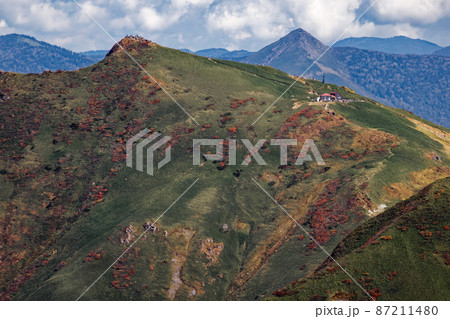 万太郎山から見る紅葉の谷川岳・トマの耳 87211480