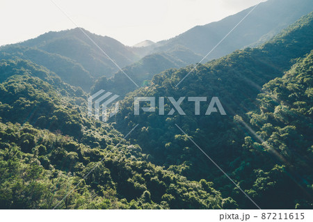 Aerial  view of forest landscape of sunrise over summer mountains 87211615