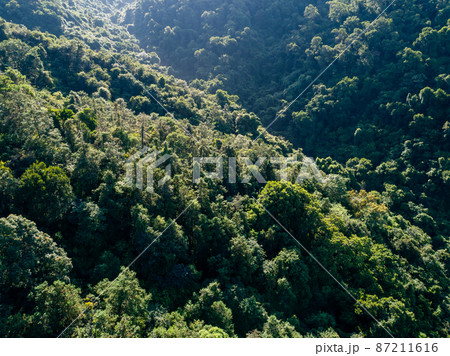Aerial  view of forest landscape of sunrise over summer mountains 87211616