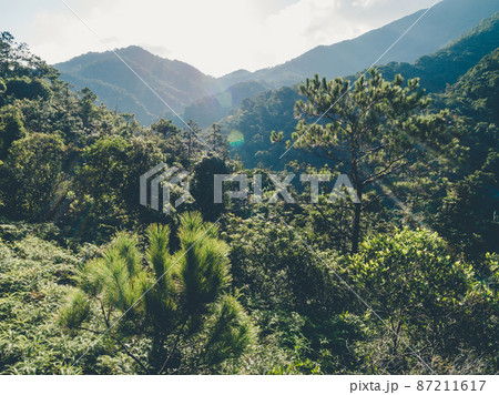 Aerial  view of forest landscape of sunrise over summer mountains 87211617