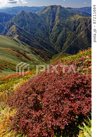 谷川連峰・万太郎山の紅葉と仙ノ倉山方面の眺め 谷川連峰・万太郎山の紅葉と仙ノ倉山方面の眺め 87211664
