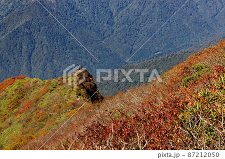 谷川連峰・万太郎山から見る伍策新道の登山者 谷川連峰・万太郎山から見る伍策新道の登山者 87212050