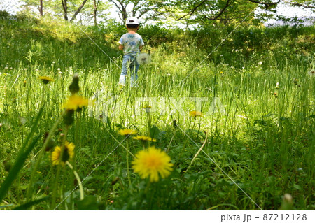 初夏の虫取り少年 初夏の虫取り少年 87212128