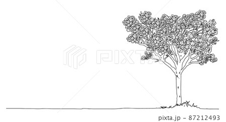 お洒落な手描き線画の一本桜 87212493