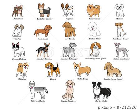 いろいろな犬種の犬 87212526