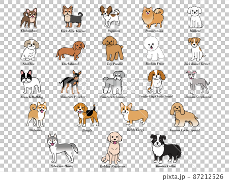 いろいろな犬種の犬 87212526