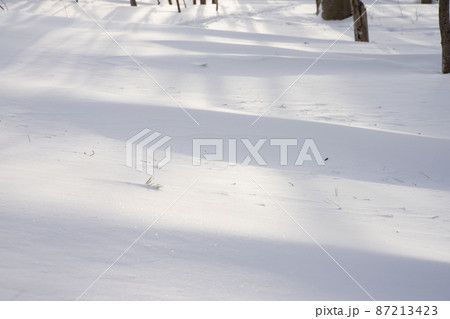 雪景色 雪景色 87213423