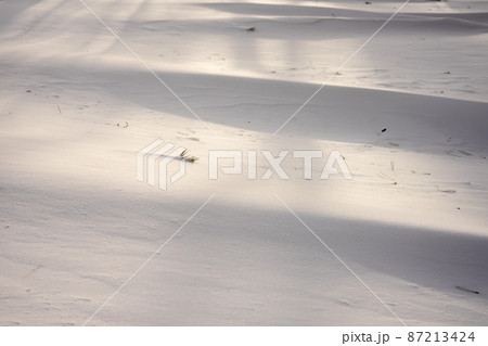 雪景色 雪景色 87213424