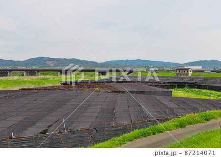 宇治茶産地の収穫前の風景～うまみを増すために寒冷紗をかぶせた茶畑 87214071