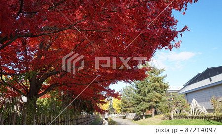 紅葉と水路 87214097