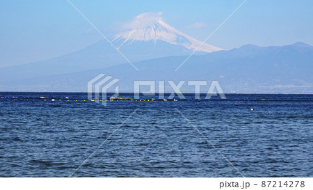 伊豆半島から見た富士山 87214278