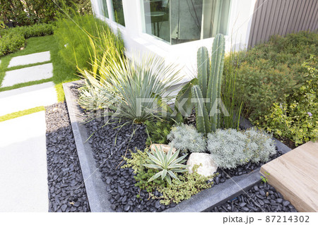 Small gardens with beautiful different green flower and plant in home backyard garden. 87214302