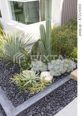 Small gardens with beautiful different green flower and plant in home backyard garden. Small gardens with beautiful different green flower and plant in home backyard garden. 87214303