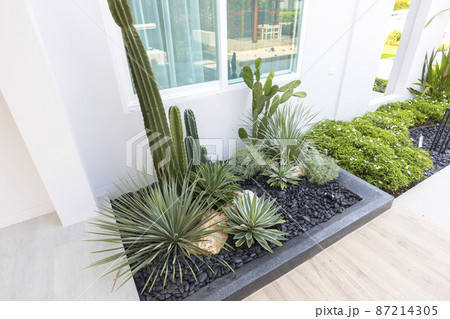 Small gardens with beautiful different green flower and plant in home backyard garden. Small gardens with beautiful different green flower and plant in home backyard garden. 87214305