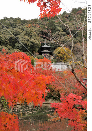 永観堂(多宝塔)　【京都府京都市】 87214323