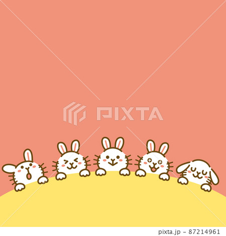 ひょっこり顔を出すうさぎの背景素材　正方形　ピンク 87214961