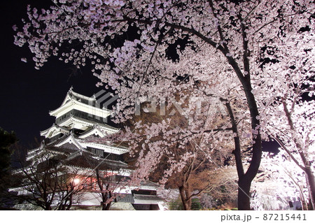 4月の信州松本市でライトアップされた国宝松本城天守閣と満開の桜が競演する早春の夜景 87215441