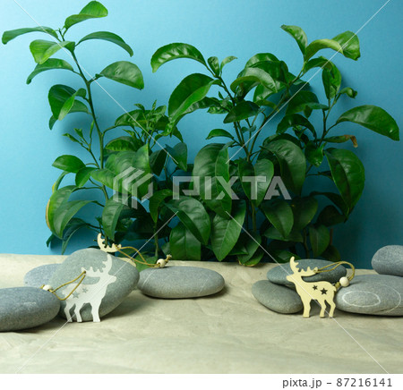 Background from green plants, sea pebbles, wooden craft paper deer. 87216141