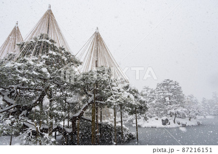 雪降る兼六園　北陸の旅　2022年2月撮影 87216151