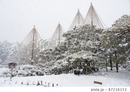 雪降る兼六園 北陸の旅 2022年2月撮影 雪降る兼六園 北陸の旅 2022年2月撮影 87216153