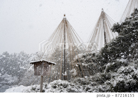 雪降る兼六園　北陸の旅　2022年2月撮影 87216155