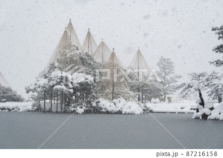 雪降る兼六園　北陸の旅　2022年2月撮影 87216158