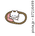 寝る姿勢の白い猫 87216499