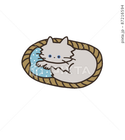 寝る姿勢のグレーの猫 87216594