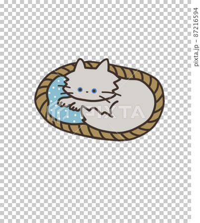 寝る姿勢のグレーの猫 87216594