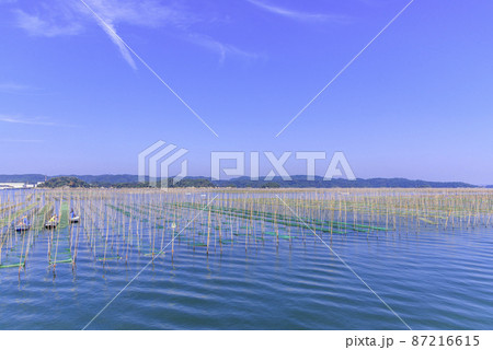 松島湾の海苔養殖 松島湾の海苔養殖 87216615