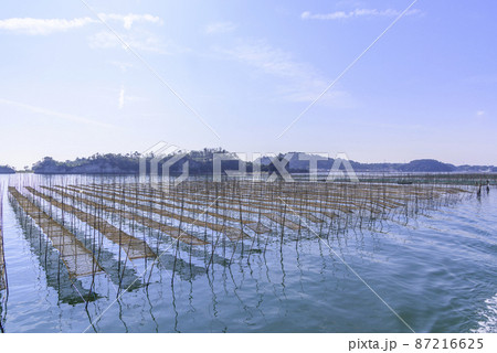 松島湾の海苔養殖 87216625