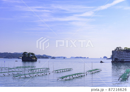 松島湾の海苔養殖 87216626
