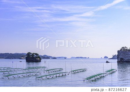 松島湾の海苔養殖 松島湾の海苔養殖 87216627
