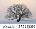 十勝の早朝 87216864