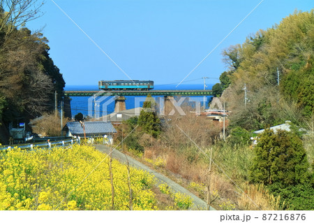 【愛媛県】快晴下の菜の花畑と本村川橋梁（瀬戸内海の伊予灘） 87216876