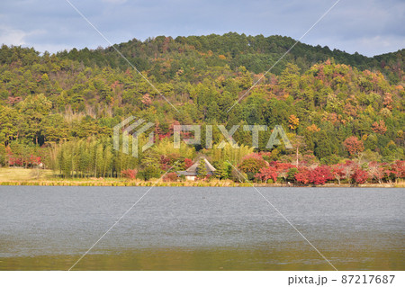 京都嵯峨の広沢池の秋風景 87217687