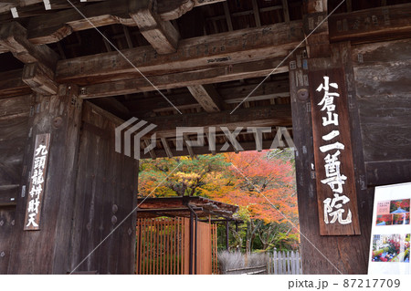 京都嵯峨・二尊院総門と紅葉 87217709