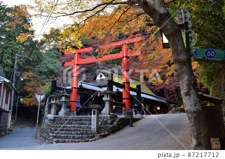 京都・嵯峨鳥居本の紅葉 87217712