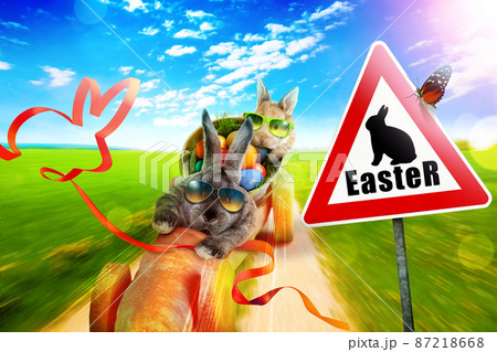 Funny Easter bunny. Happy Easter holiday concept. Funny Easter bunny. Happy Easter holiday concept. 87218668
