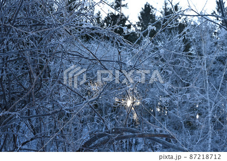 樹氷 87218712