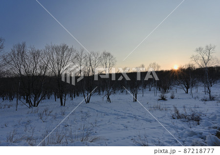 冬の北海道原野 87218777