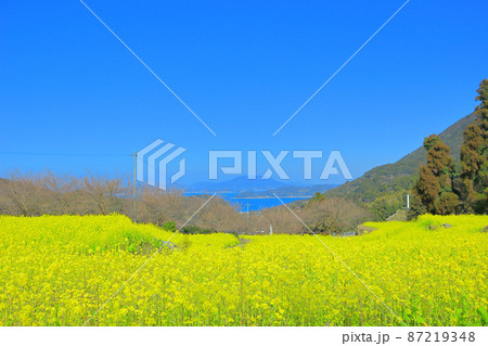 福岡県糸島市 二丈加茂ゆらりんこ橋 福岡県糸島市 二丈加茂ゆらりんこ橋 87219348