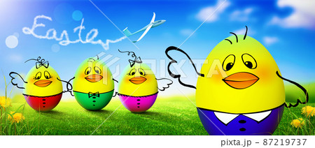 Little cute baby chick on green grass. Yellow newborn baby chick. 87219737