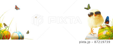 Funny cute baby chick with sunglasses and egg. Funny cute baby chick with sunglasses and egg. 87219739