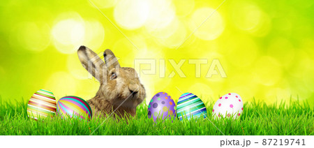 Beautiful Easter background with colorful Easter eggs 87219741