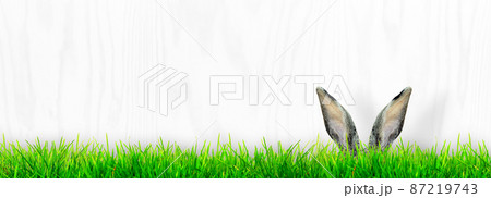 Funny Easter bunny. Happy Easter holiday concept. 87219743