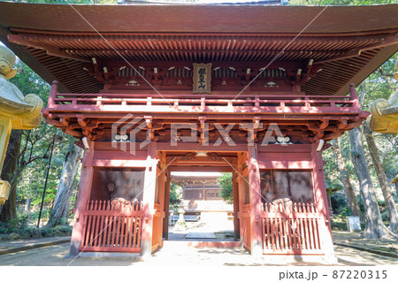 神武寺の桜門（鷹取山公園） 87220315