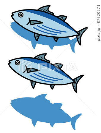 カツオのイラスト 87220571