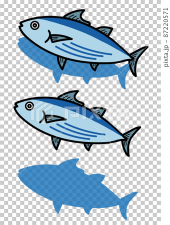 カツオのイラスト 87220571